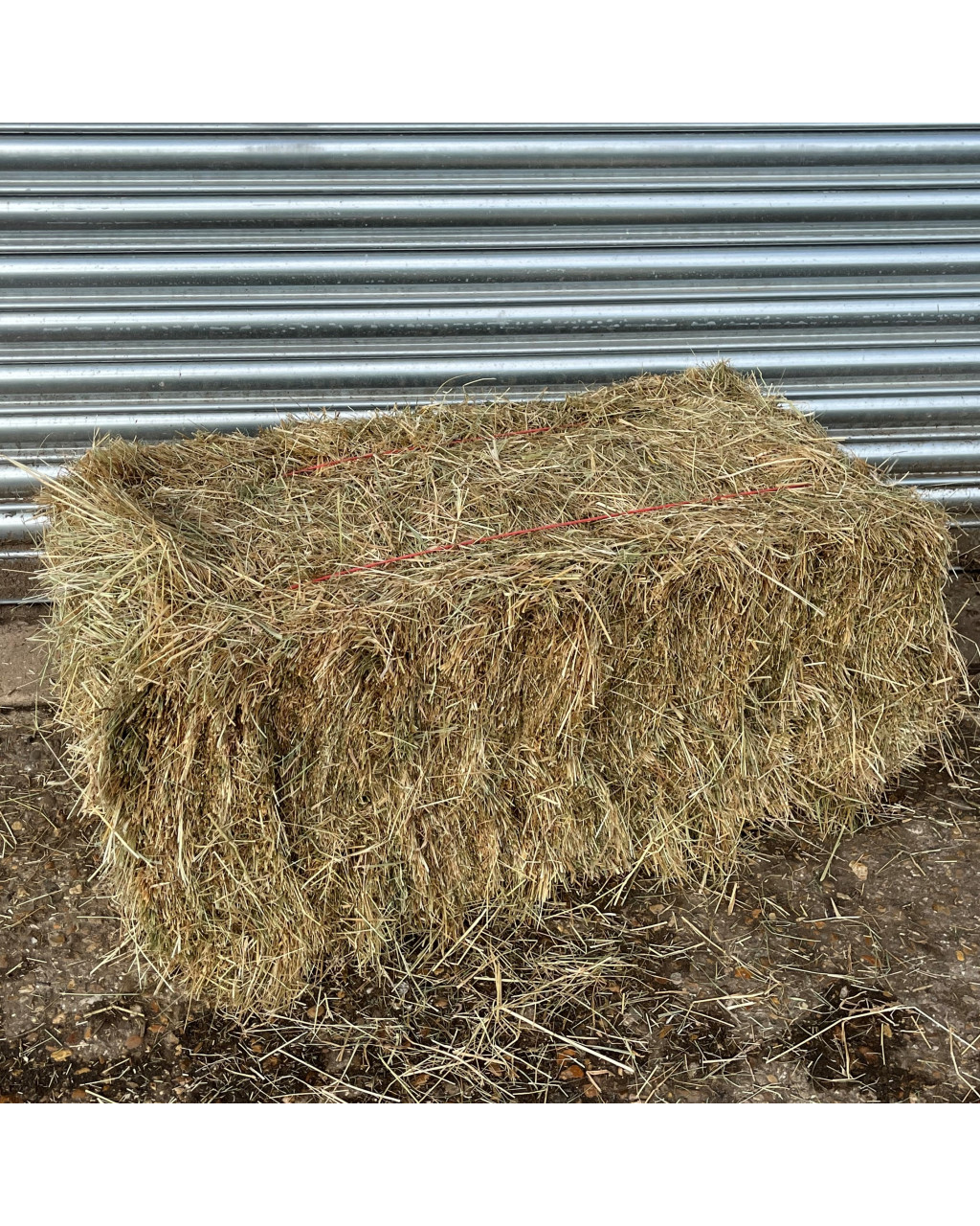 Old Manor Compressed Timothy Hay Full pallet (40 bales)